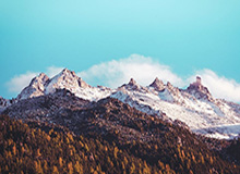 开云体育下载入口——畅享极致体育体验